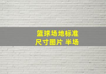 篮球场地标准尺寸图片 半场